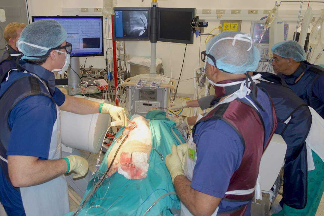 TAVR Procedure in Cape Town South Africa